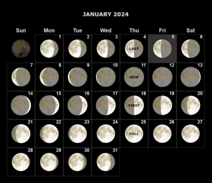 Peringatan Hari Bulan Januari 2025