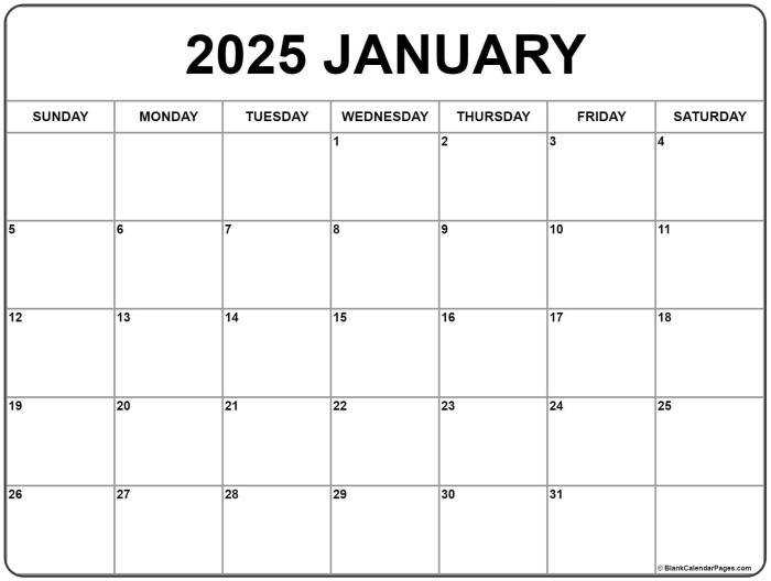 Film bioskop 1 Januari 2025 box office