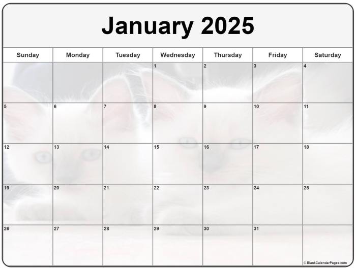 Kalendar Kuda Januari 2025