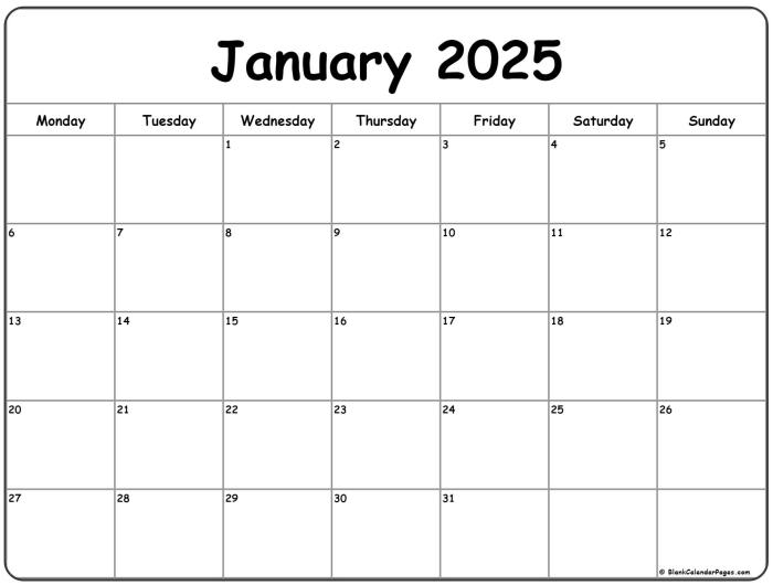 Adakah film festival yang tayang di bioskop Januari 2025?