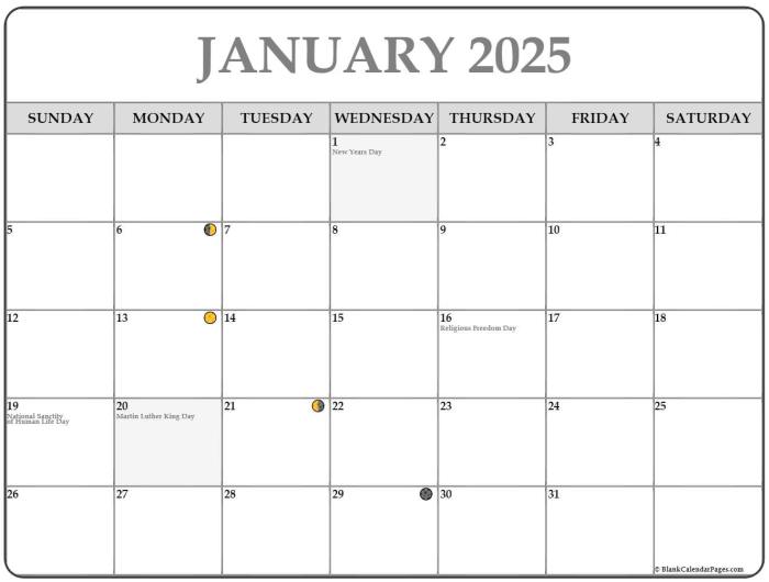 Peringatan Hari Bulan Januari 2025