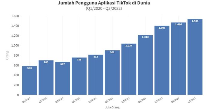 Tiktok 2025 Report