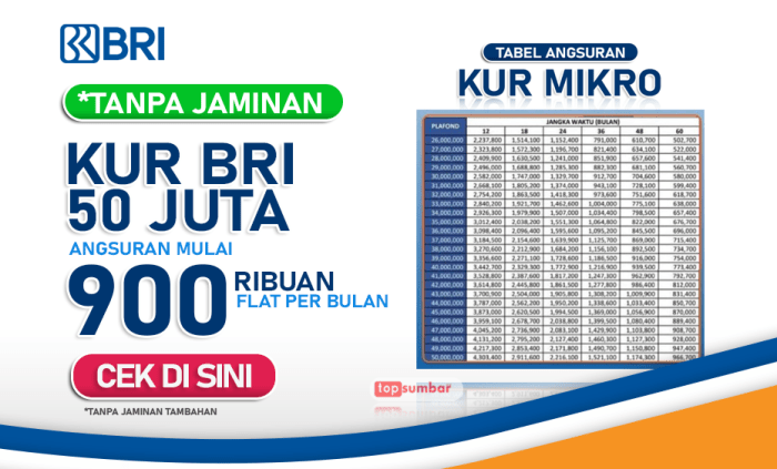 Pinjaman BRI Kur 50 Juta 2025