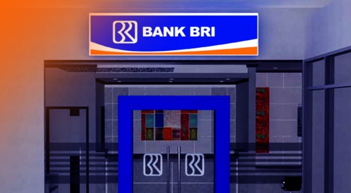 Pinjaman BRI 2025 Visi Misi