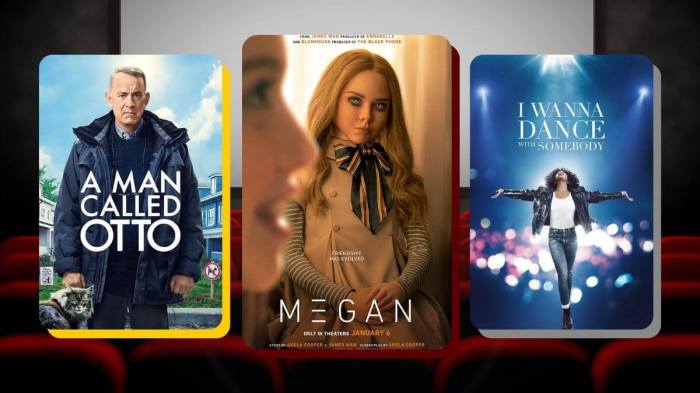 Adakah film thriller yang tayang di bioskop tanggal 1 Januari 2025?
