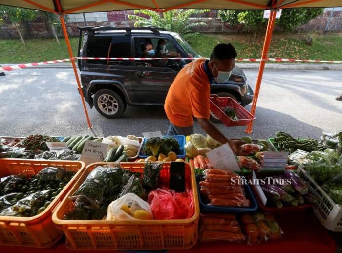 Uang makan PNS daerah 2025 untuk PNS baru