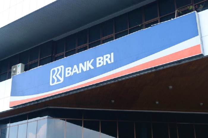 Pinjaman BRI 2025 300 Juta 2020