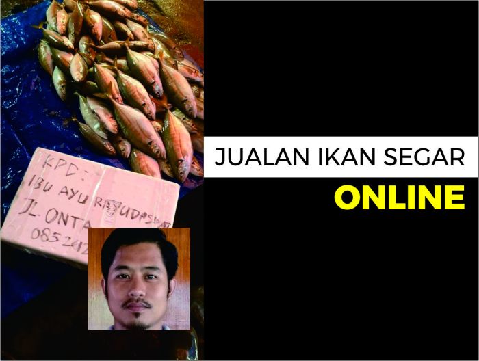 Bantuan UMKM 2025 untuk usaha peternakan