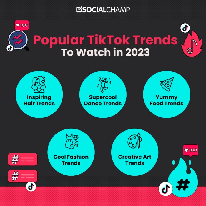 What's Next 2025 Tiktok