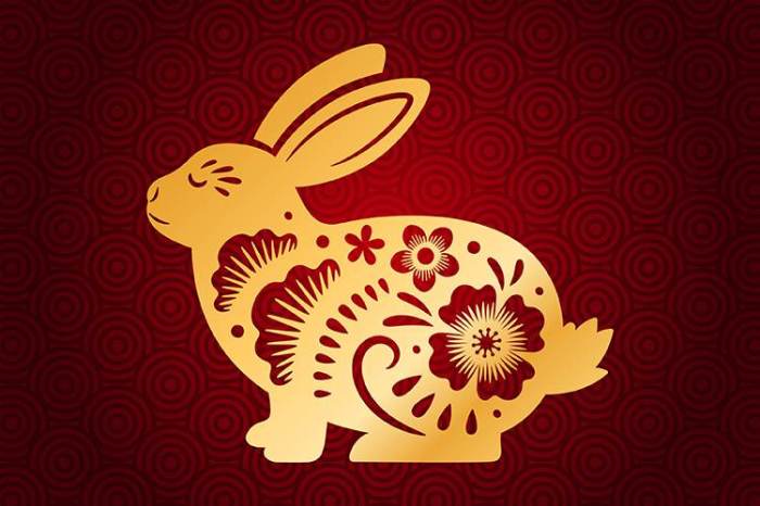 Rabbit chinese zodiac year signs meanings astrology personality animal horoscope traits calendar symbols meaning sign characteristics years 1999 1963 pisces