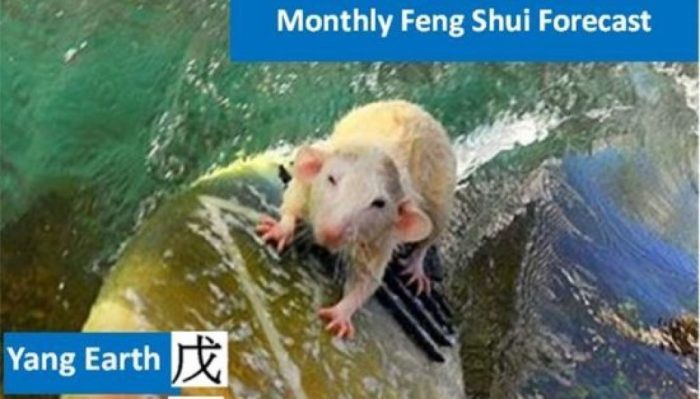 Kelebihan dan kekurangan shio Tikus Desember 2024