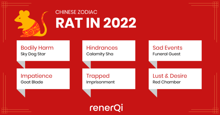 Bagaimana shio Tikus bisa memaksimalkan potensi di tahun 2025?