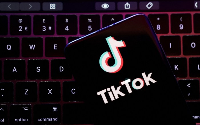 What States Is Tiktok Banned In 2025