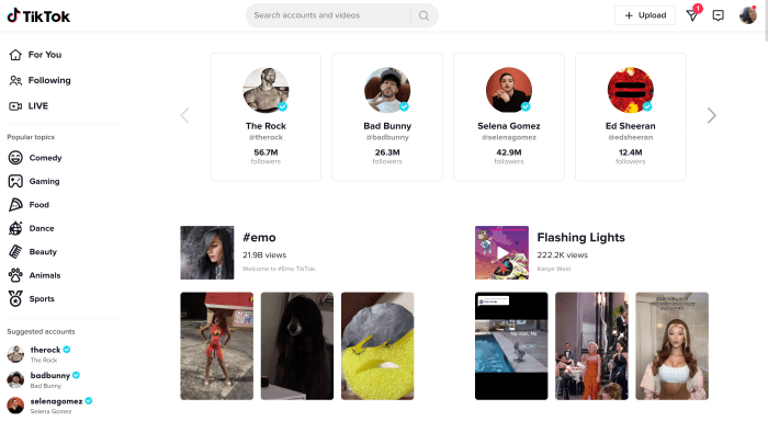 Tiktok Winning Products 2025