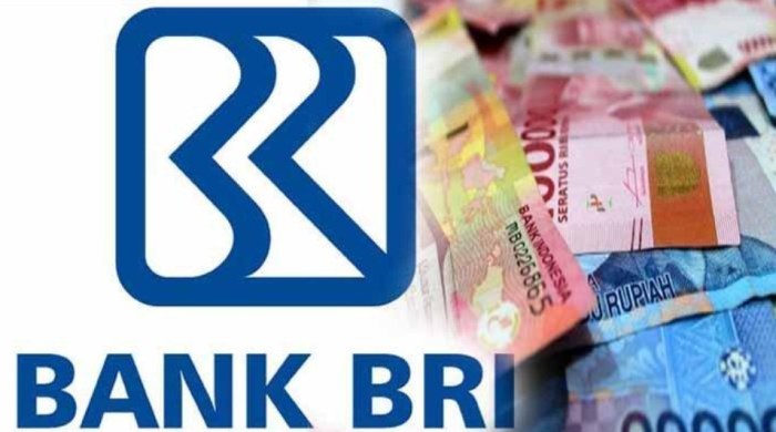 Bunga Pinjaman Bank BRI 100 Juta 2025