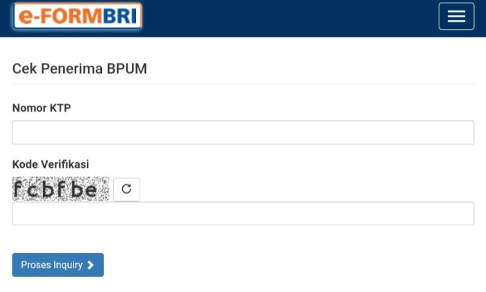 Apa itu BPUM 2025?