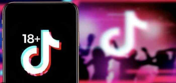 Tiktok apk version android old versions apkpure update latest device