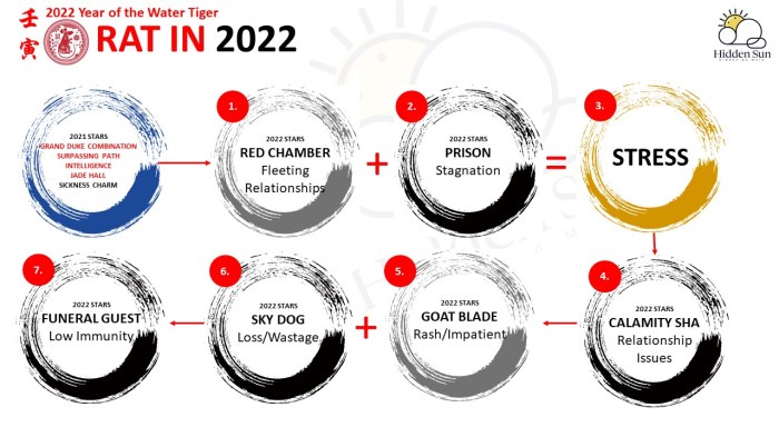 Bagaimana shio Tikus bisa menyeimbangkan elemen di tahun 2025?