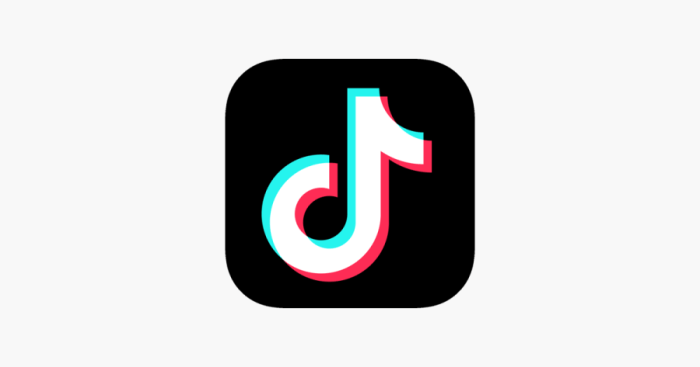 Tiktok Awards 2025 Logo