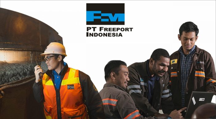Gaji Pt Freeport 2025