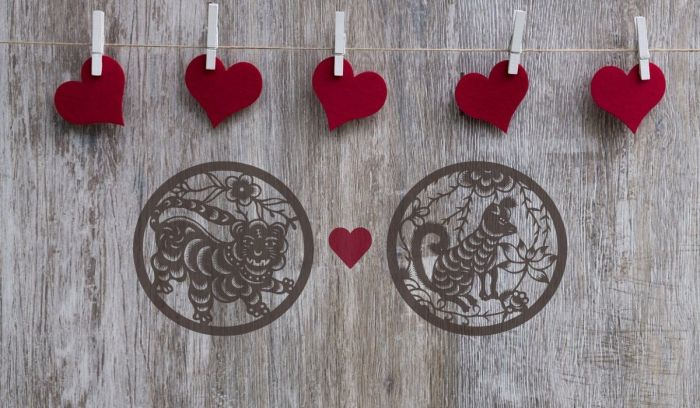 Shio apa saja yang cocok dengan shio Macan dalam asmara?