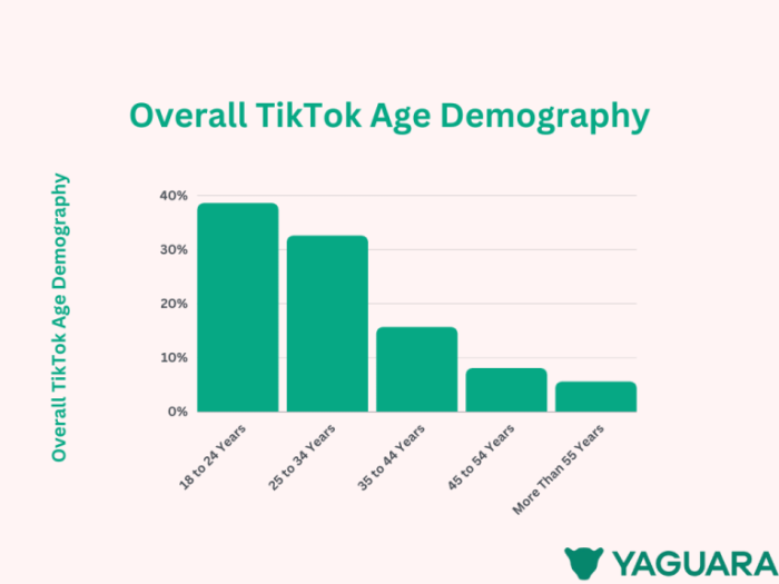 Tiktok 18 2025