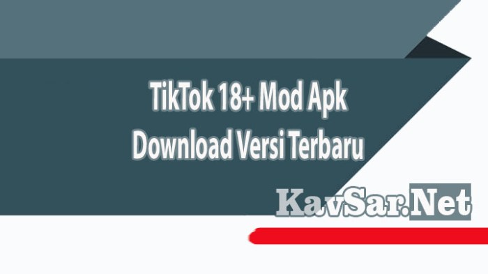 Tiktok+18 1.1.8 Download 2025