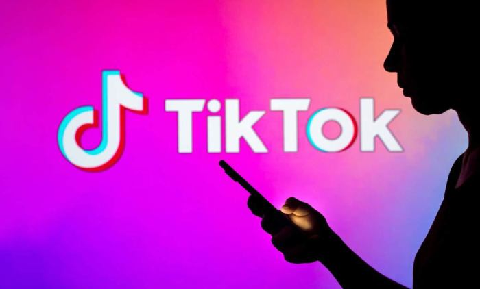Tiktok 2025 Terbaru