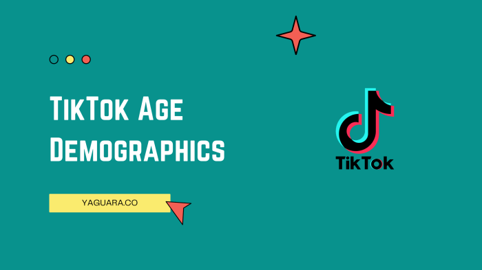 Average Age Of Tiktok Users 2025