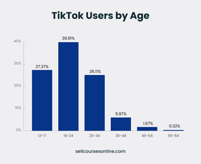 Tiktok Vs Instagram Users 2025