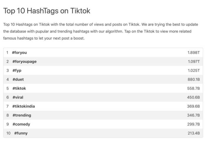 Tiktok Famous Hashtags 2025