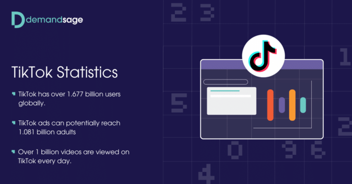 Statista Tiktok 2025
