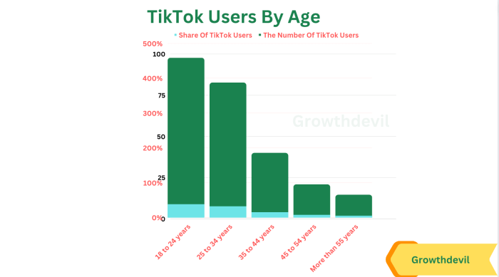 Usia Pengguna Tiktok Di Indonesia 2025
