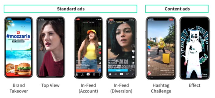 Practices Tiktok Ad Formats 2025