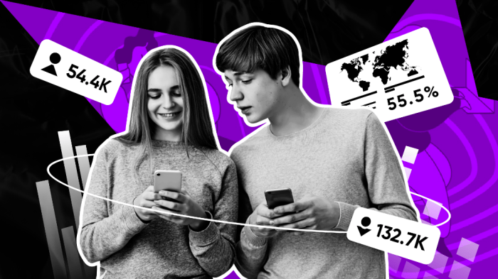 Data Pengguna Tiktok 2025