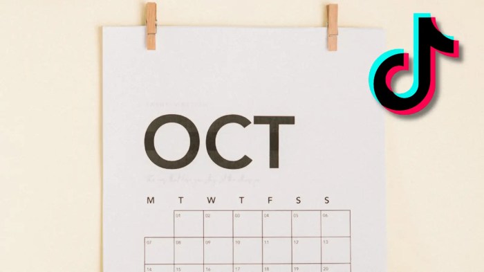 Tanggal 12 November 2025 Hari Apa Di Tiktok