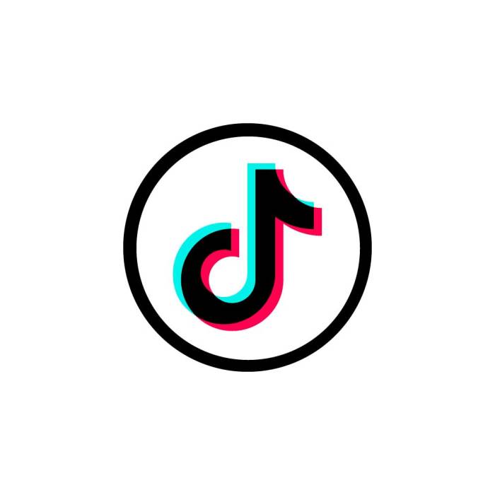 Tiktok 2025 Logo