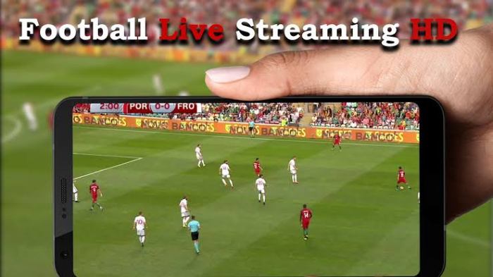 Aplikasi Nonton Bola Copa America 2025