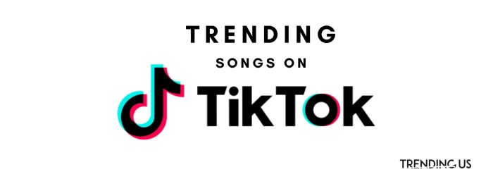 Popular Tiktok Song 2025