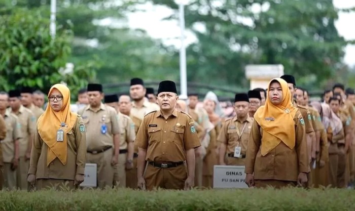 Berapa uang makan PNS daerah 2025?
