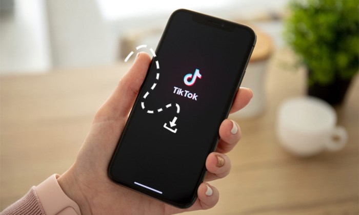 Tiktok Update 2025 Download