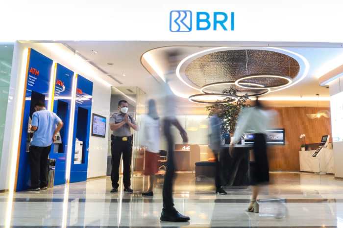 Pinjaman BRI 2025 30jt