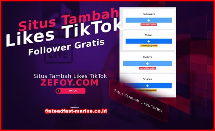Zefoy Tiktok Likes 2025