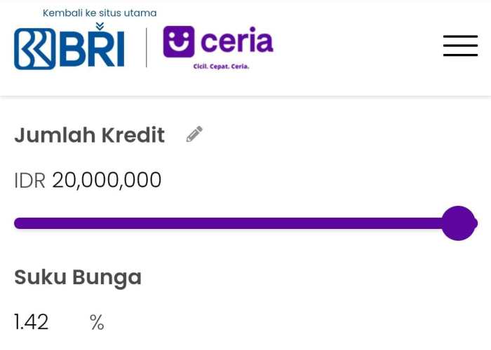 Pinjaman BRI Tanpa Agunan 2025