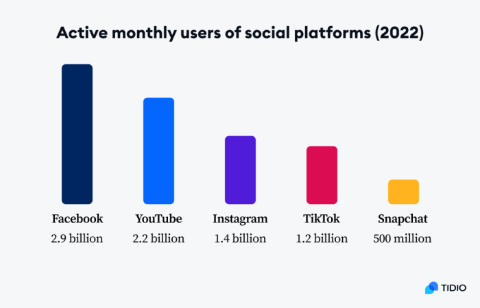 Tiktok Stats 2025