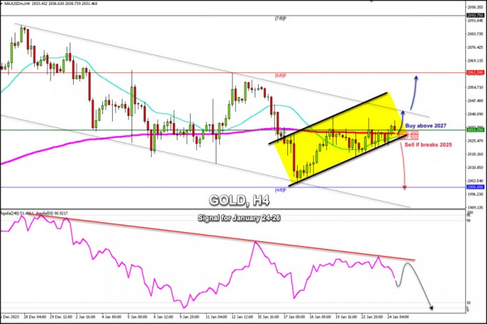 Apakah ada analisis fundamental Forex yang relevan selama libur Natal 2024?