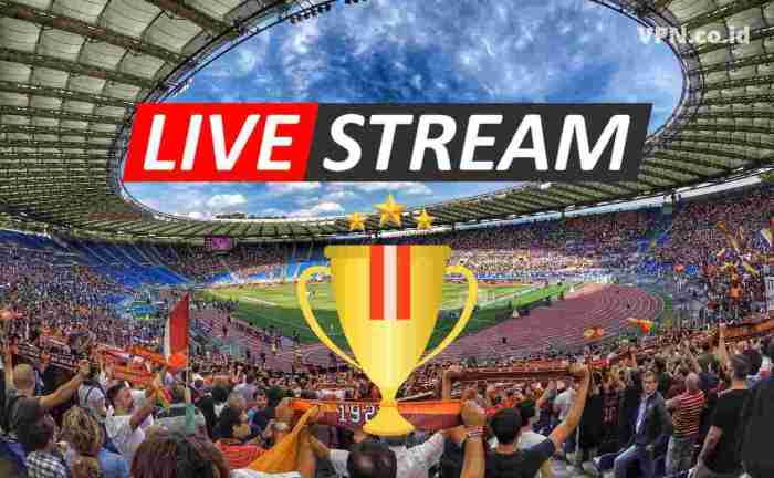 Euro dettagli dell Aplikasi Live Streaming Bola Euro 2025
