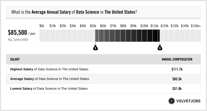 Gaji Data Science 2025