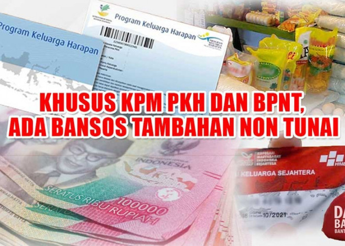 Apa perbedaan PKH 2025 dan BPNT?