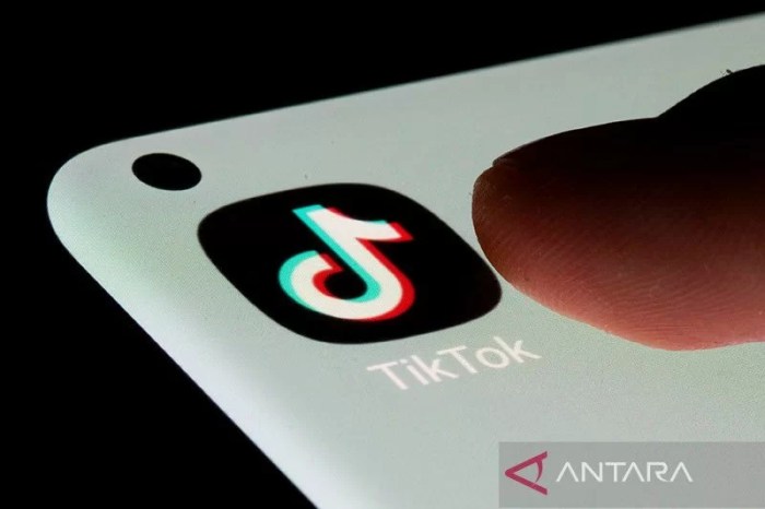 Tiktok Apk Premium 2025